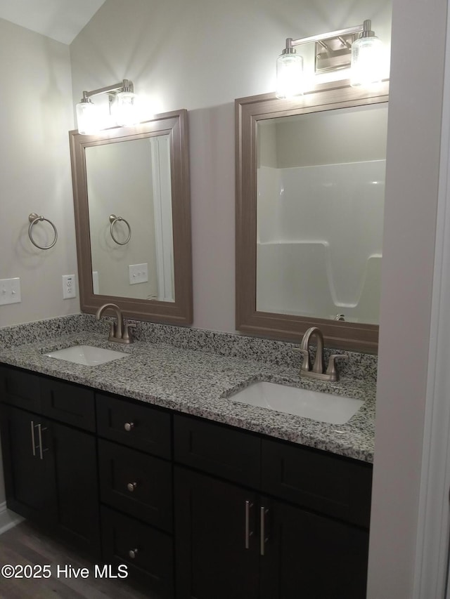 bathroom with hardwood / wood-style floors and vanity