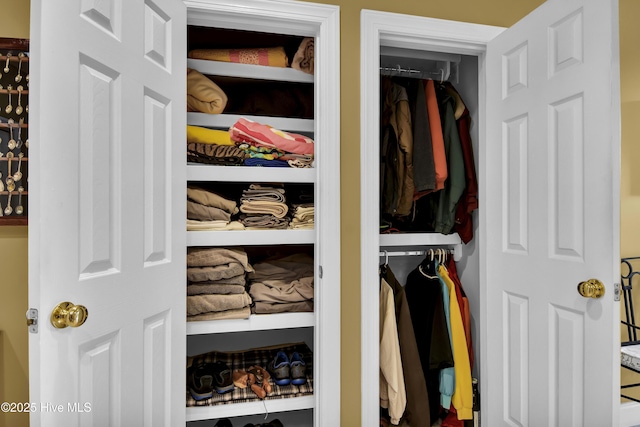 view of closet