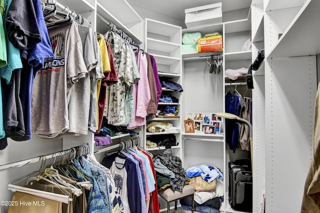 view of spacious closet