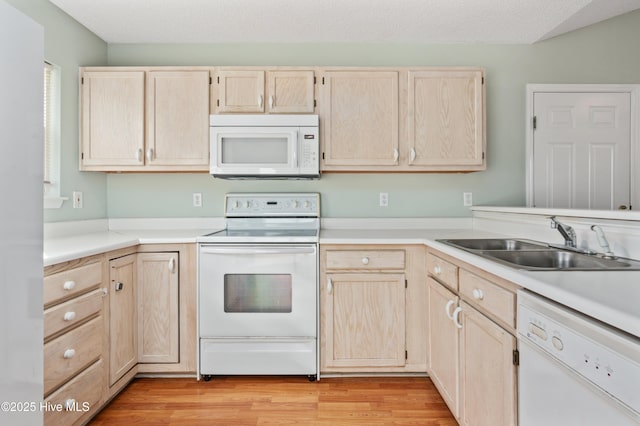 kitchen featuring light brown cabinetry, sink, white appliances, and light wood-type flooring