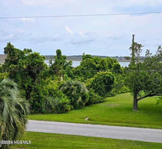 view of home's community featuring a water view and a lawn