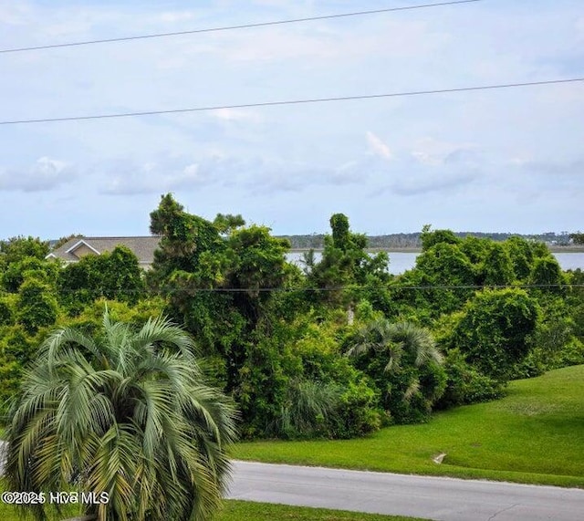 view of local wilderness featuring a water view