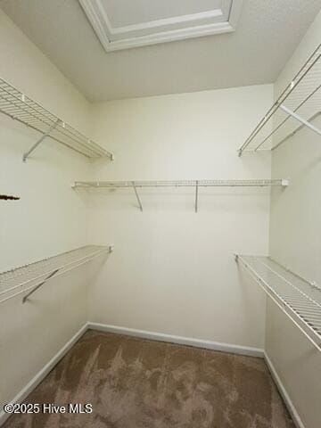 spacious closet with dark carpet