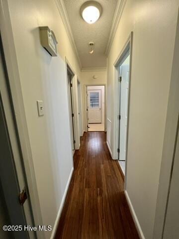 hallway with a textured ceiling, dark hardwood / wood-style flooring, and ornamental molding