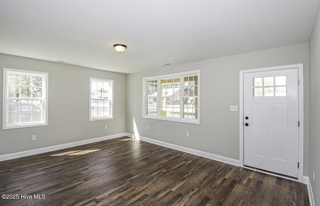 foyer entrance featuring dark wood-type flooring