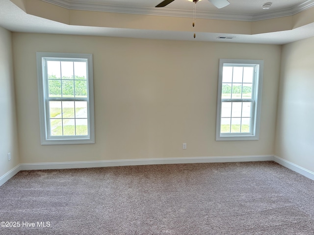 carpeted empty room featuring a tray ceiling, a wealth of natural light, and ornamental molding