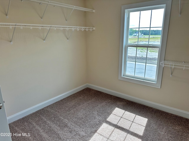 walk in closet featuring carpet