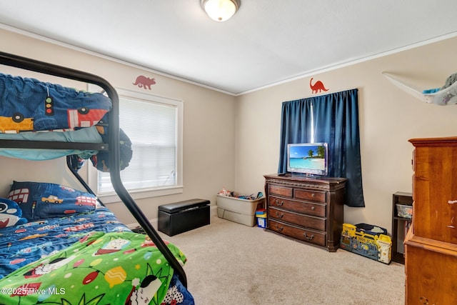bedroom with carpet flooring