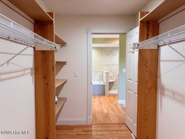 spacious closet featuring light hardwood / wood-style flooring