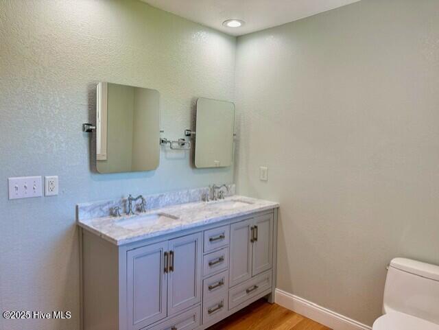 bathroom featuring vanity, toilet, and wood-type flooring