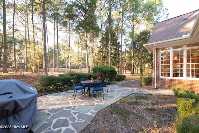 view of yard featuring a patio