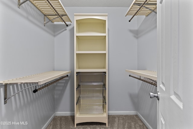 spacious closet featuring dark colored carpet