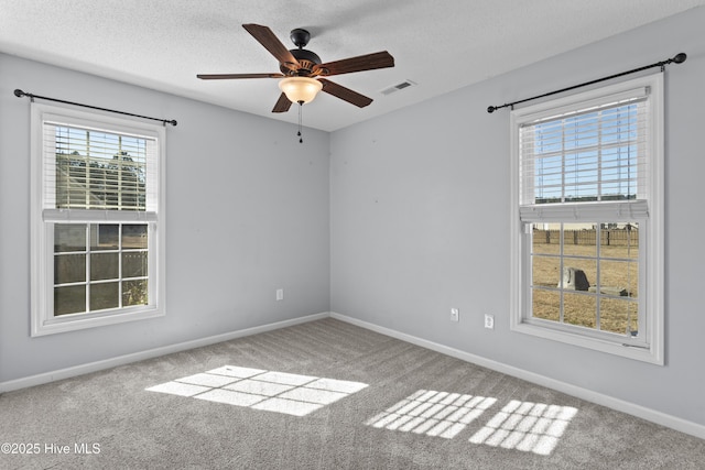 empty room featuring carpet floors, ceiling fan, and a textured ceiling