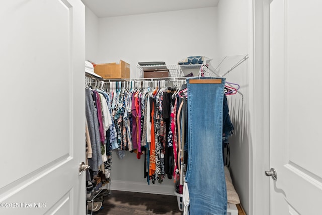 spacious closet featuring hardwood / wood-style floors