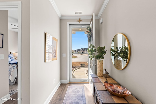 entryway featuring ornamental molding and wood-type flooring