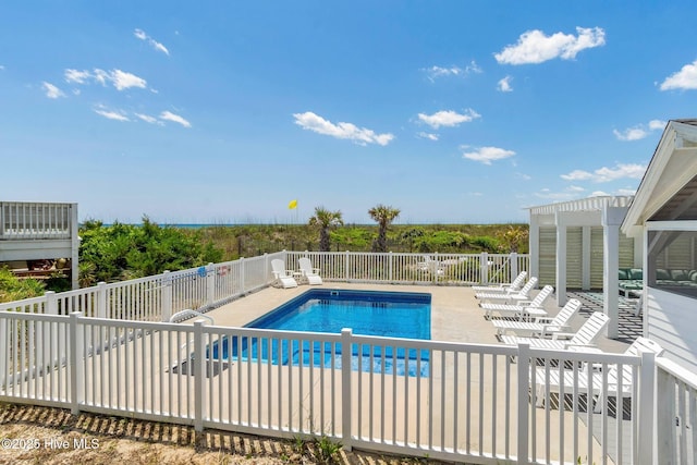 view of swimming pool with a patio