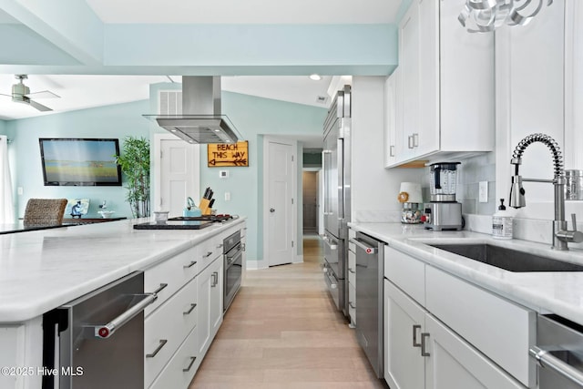 kitchen with sink, light stone counters, ventilation hood, white cabinets, and appliances with stainless steel finishes