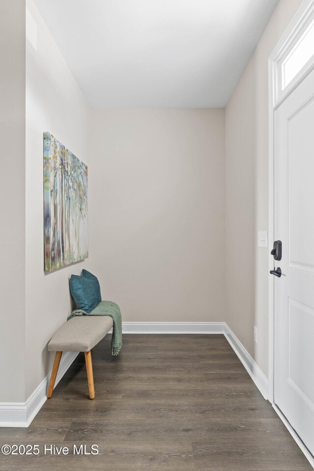 sitting room featuring dark hardwood / wood-style flooring