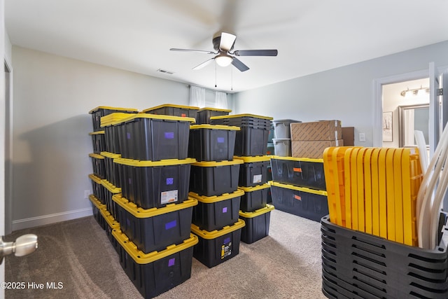 storage room with ceiling fan