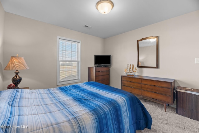 bedroom with carpet flooring