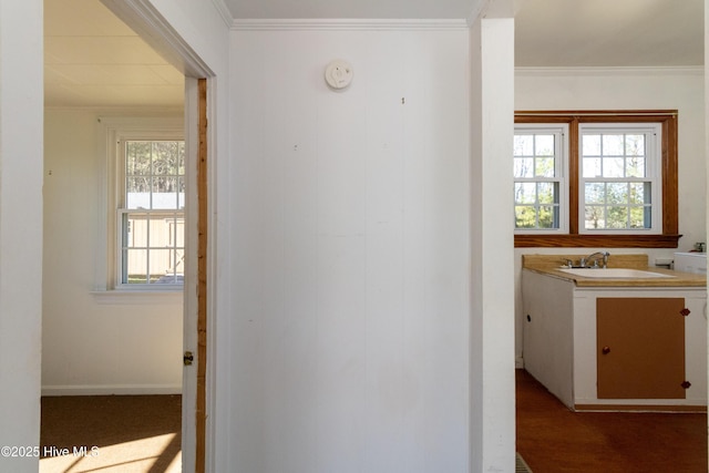 corridor with crown molding and sink