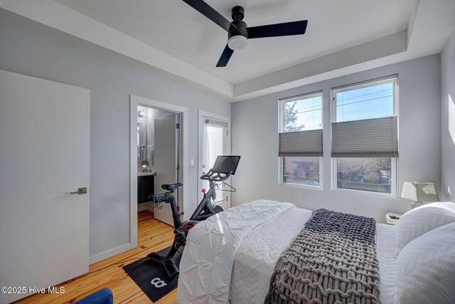 bedroom with ceiling fan, a walk in closet, light wood-type flooring, and a closet