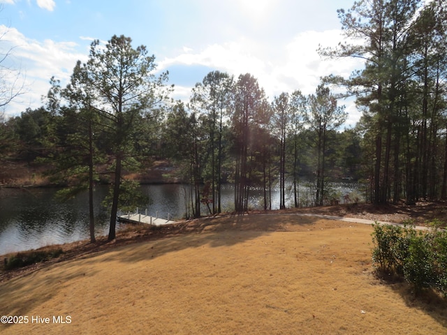 property view of water