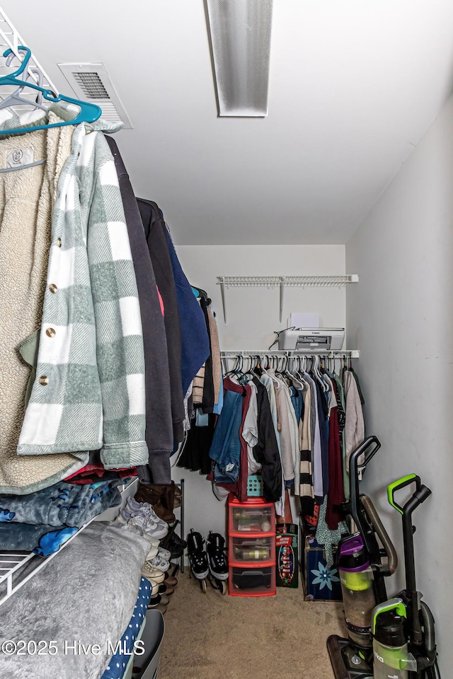 spacious closet featuring carpet floors