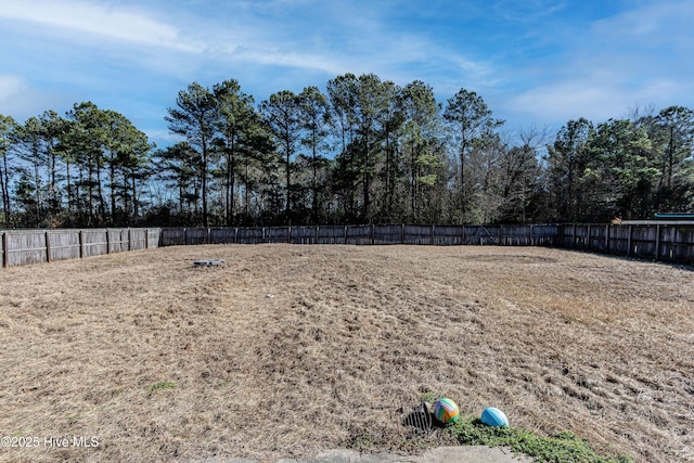 view of yard