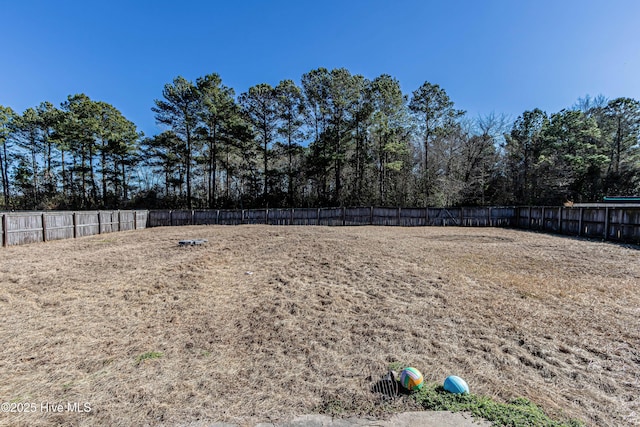 view of yard