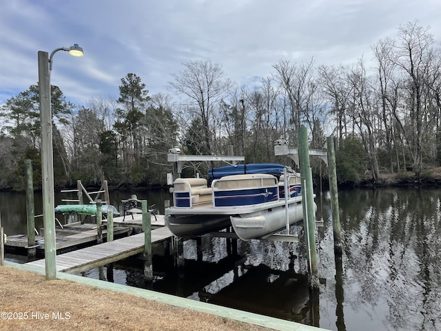 dock area with a water view