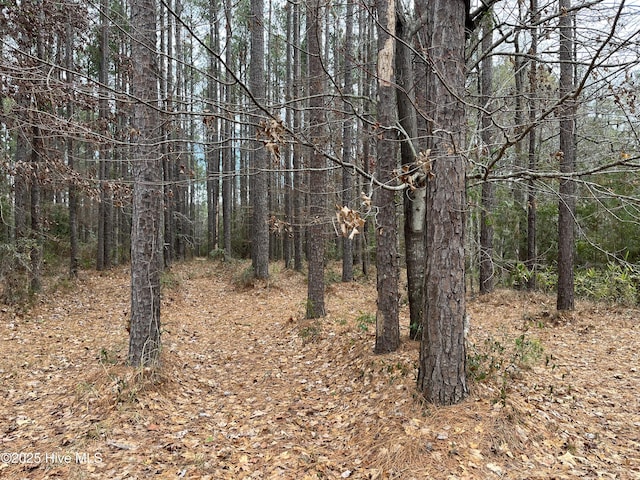 Listing photo 3 for 88 Cape Hatteras Pt Unit 22, Oriental NC 28571