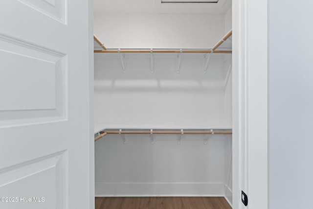 spacious closet featuring dark wood-type flooring