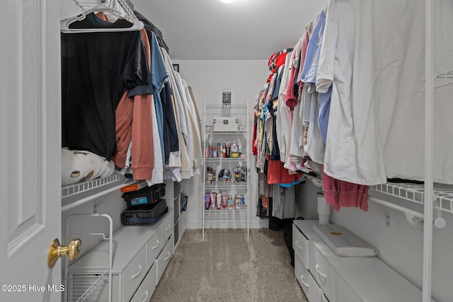 walk in closet with carpet