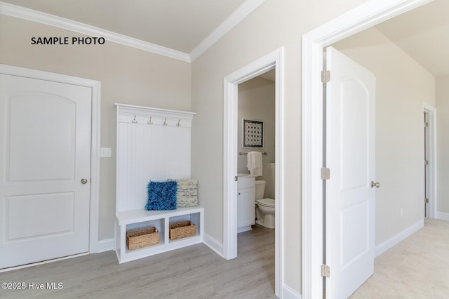 mudroom with crown molding and light hardwood / wood-style flooring