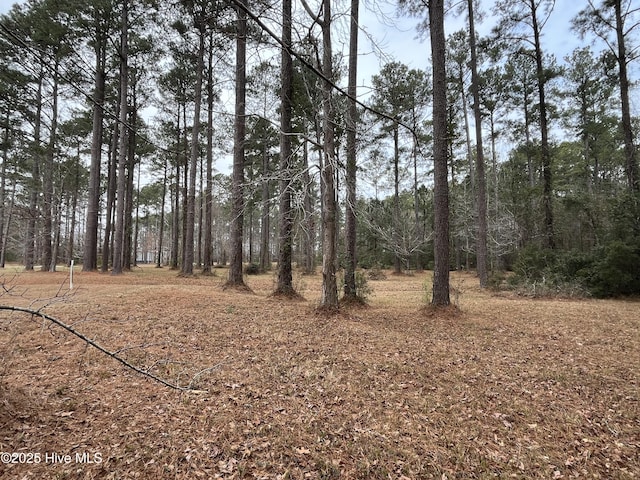 464 Dawson Creek Blvd Unit 24, Oriental NC, 28571 land for sale