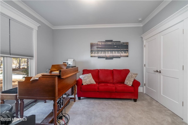 carpeted office featuring ornamental molding