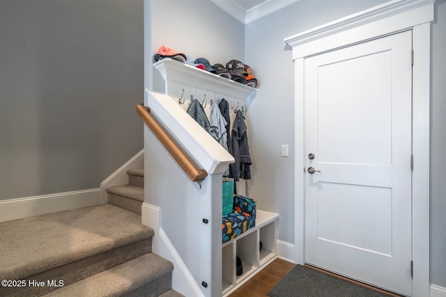 mudroom featuring ornamental molding and dark hardwood / wood-style floors