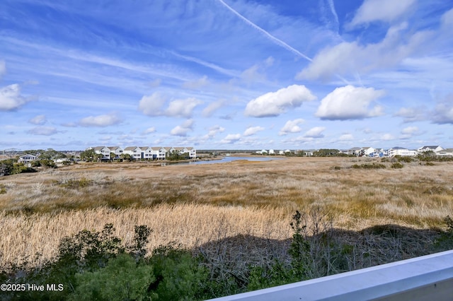 view of local wilderness