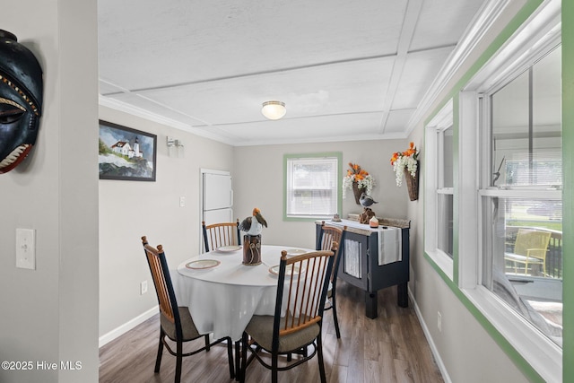 dining room featuring hardwood / wood-style floors and ornamental molding