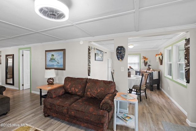 living room featuring light hardwood / wood-style floors