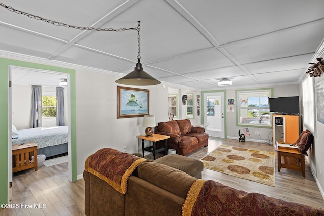 living room with hardwood / wood-style flooring and coffered ceiling