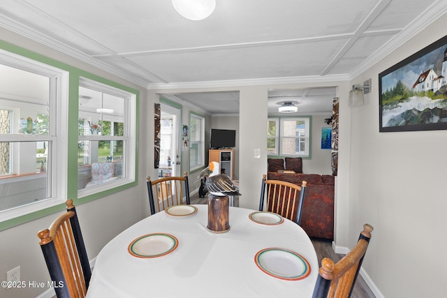 dining area featuring ornamental molding