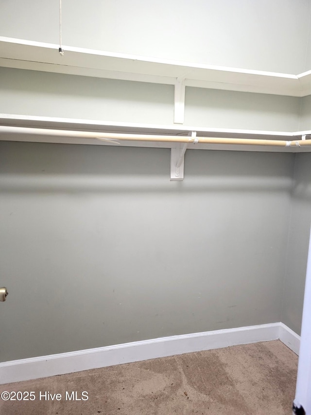 spacious closet featuring carpet floors