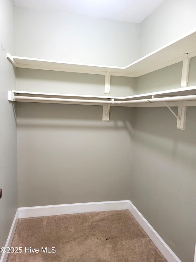 spacious closet with carpet