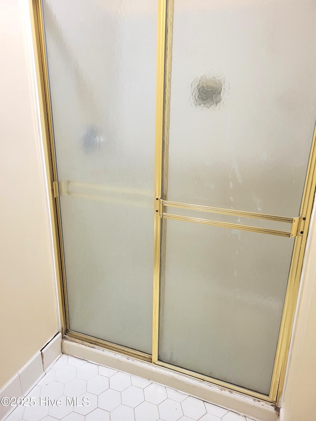 full bathroom featuring a shower with shower door