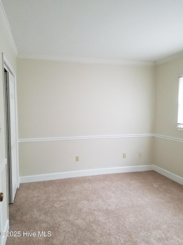 spare room with crown molding, carpet flooring, and baseboards