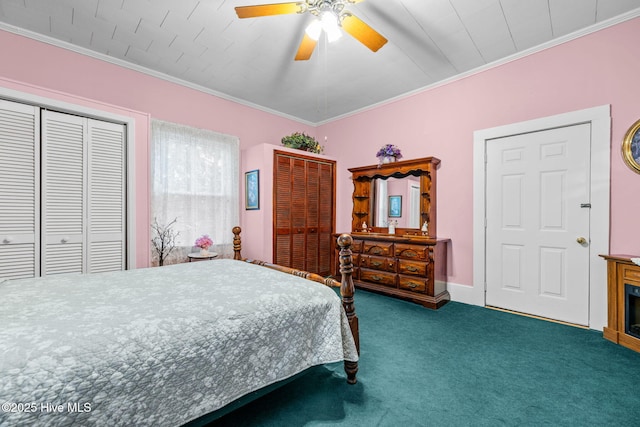 bedroom featuring ceiling fan, carpet, two closets, and ornamental molding