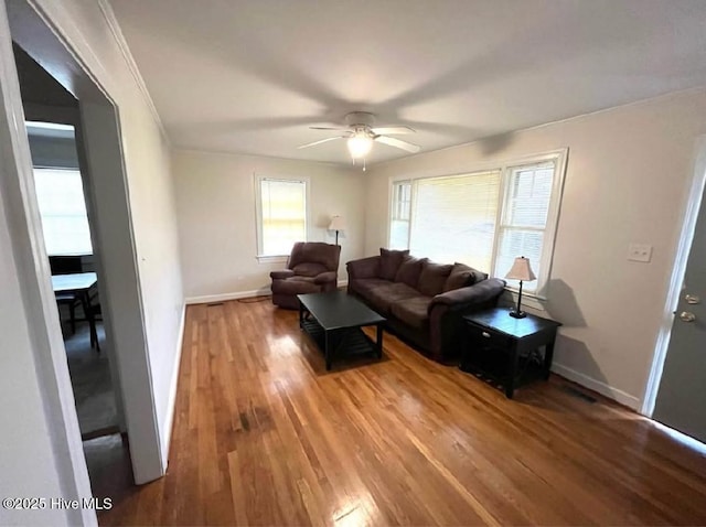 living room with ceiling fan, plenty of natural light, and wood-type flooring