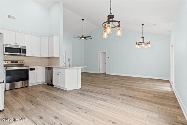 unfurnished bedroom with a walk in closet, a tray ceiling, light hardwood / wood-style floors, and a closet